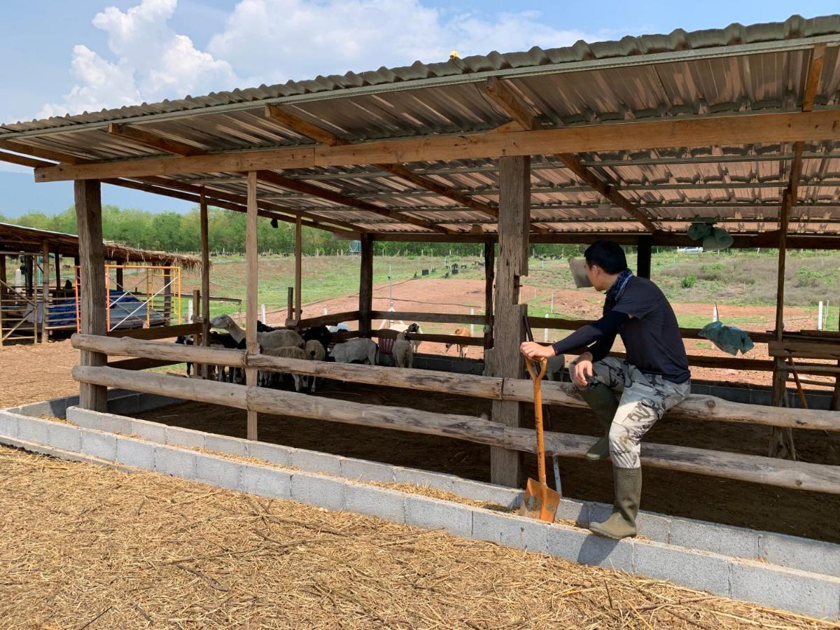 ฟาร์มแกะภูกระดึง Waraporn Valley Ban Nong Tum Exteriör bild